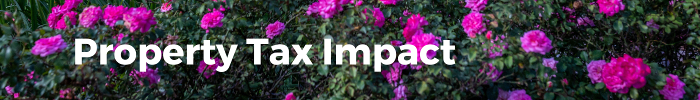 Property Tax IMpact