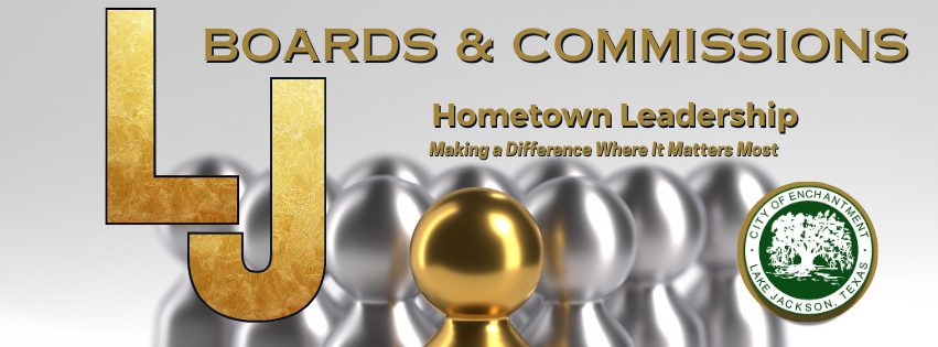 board and commissions-1