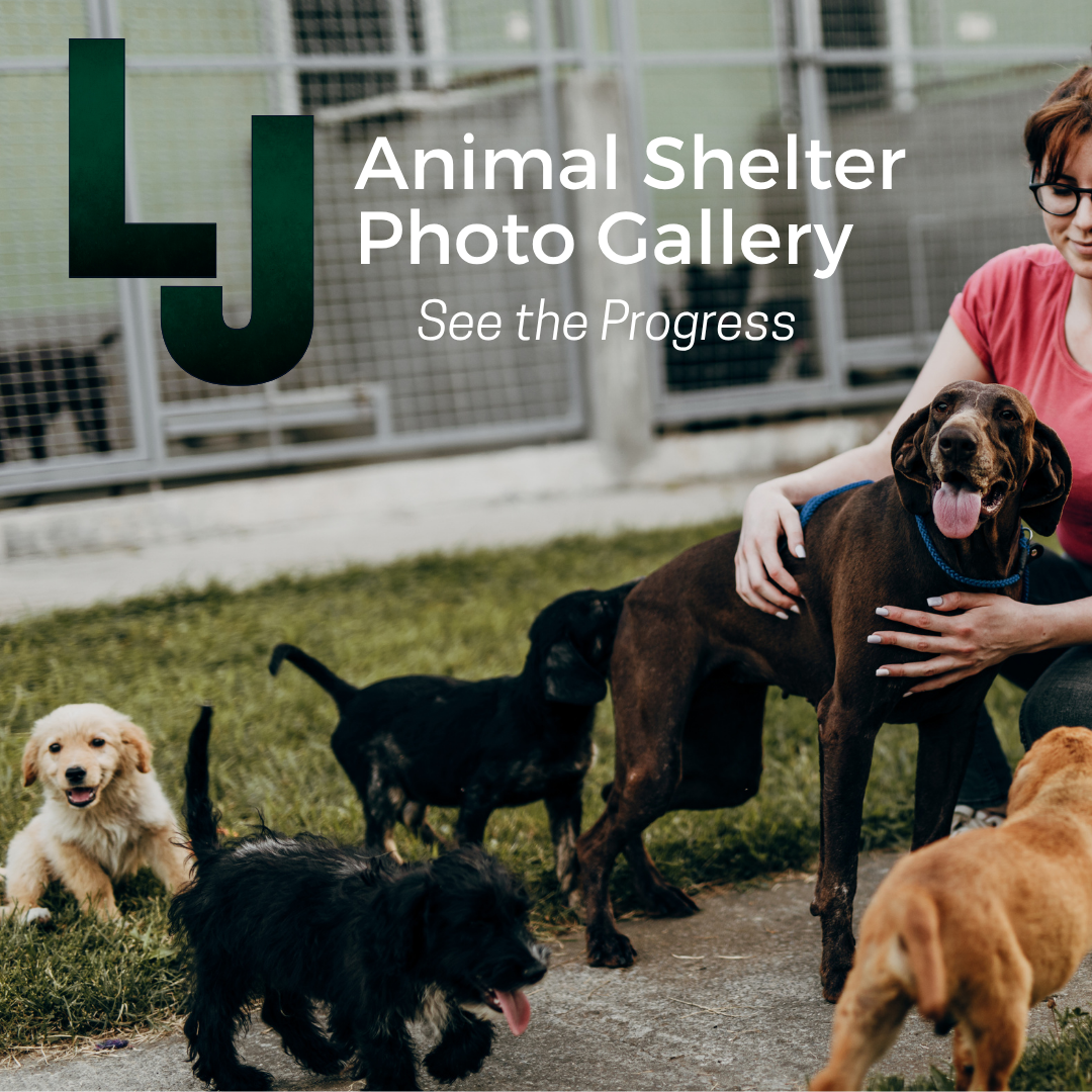2021_Animal Shelter  Photo Gallery _ Dogs