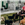 2021_Animal Shelter  Photo Gallery _ Dogs