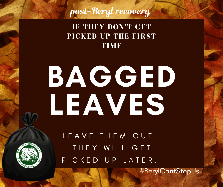 Bagged Leaves