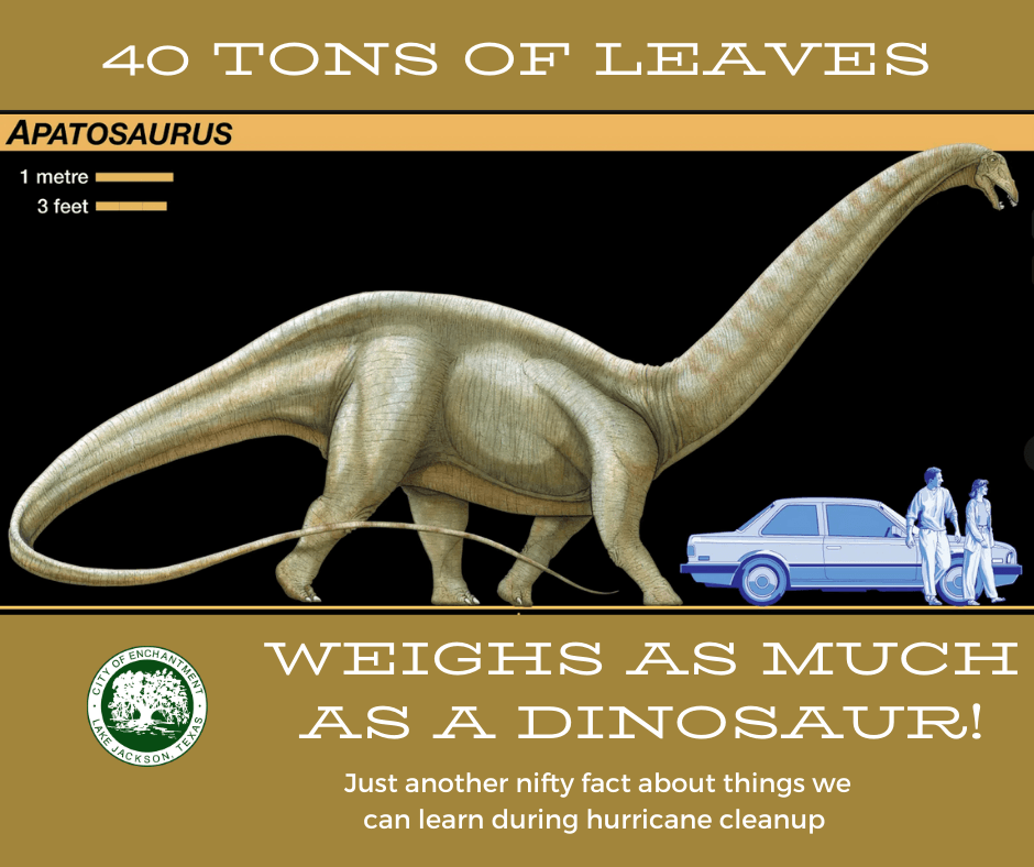 dinaosaur and leaves