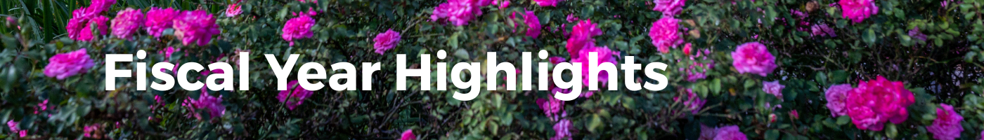 FY Highlights